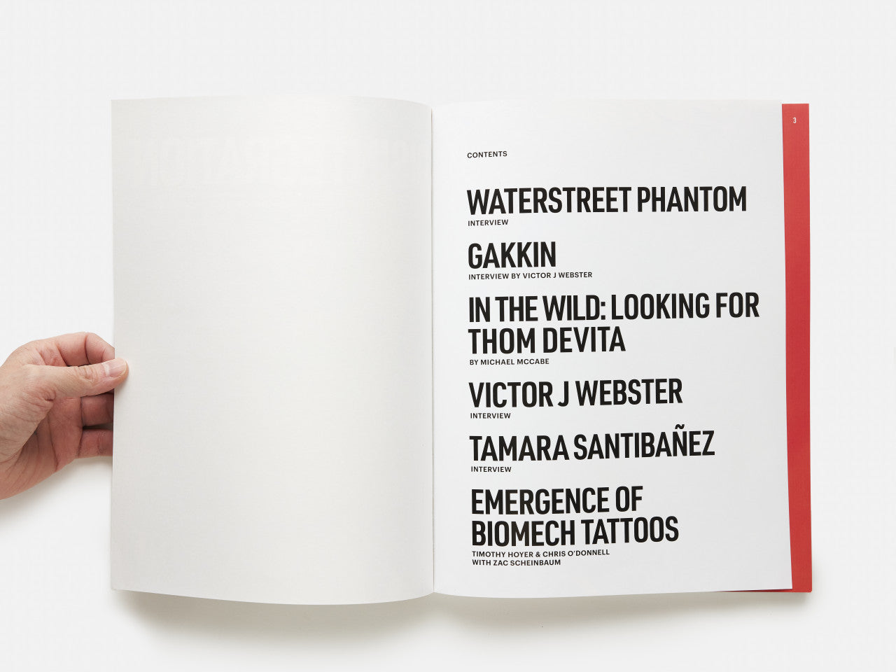 Disintegration Issue #1