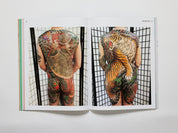 Disintegration Issue #2