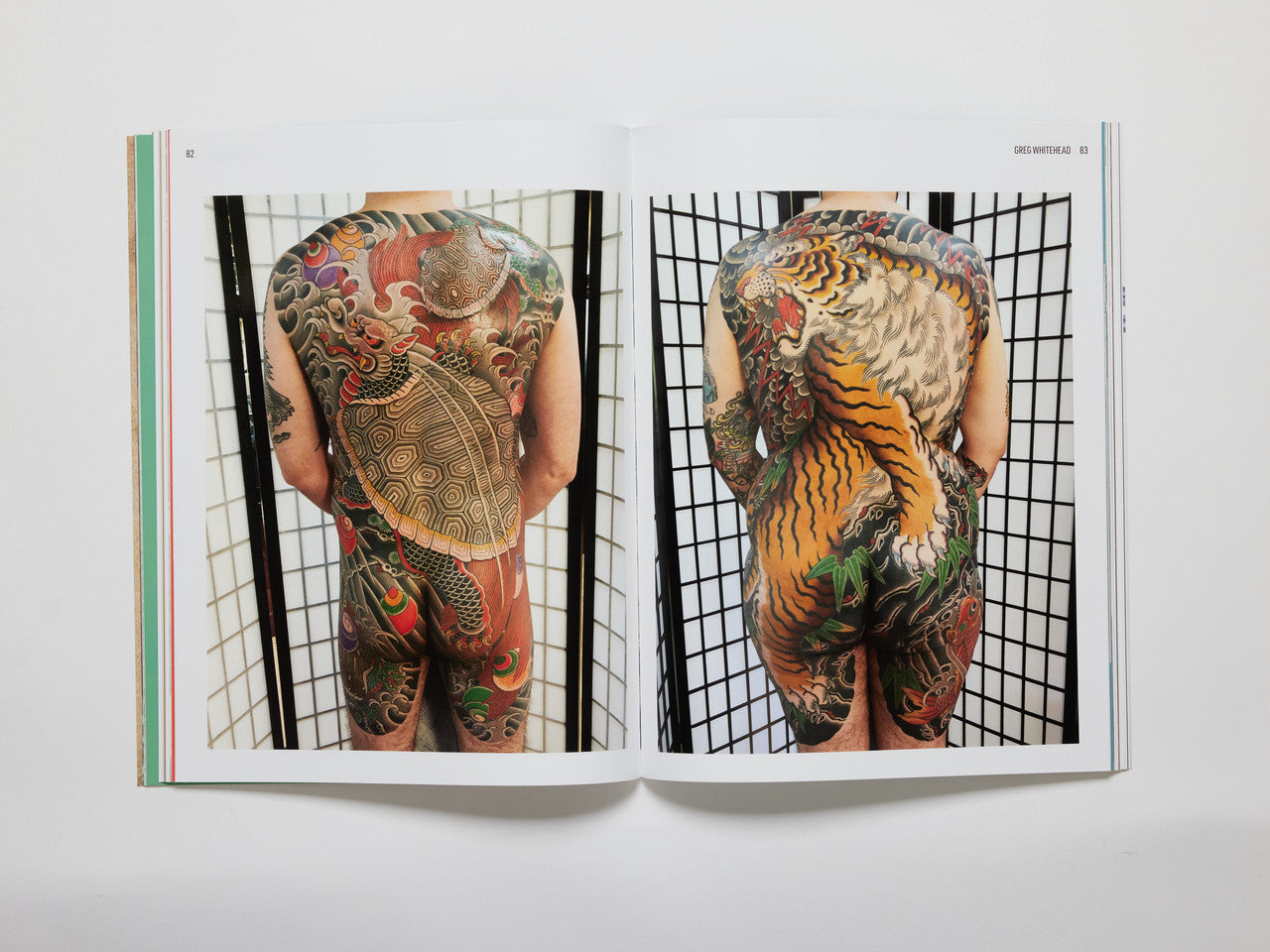 Disintegration Issue #2