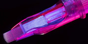 Hella Smooth Curved Bugpin Magnum Cartridges